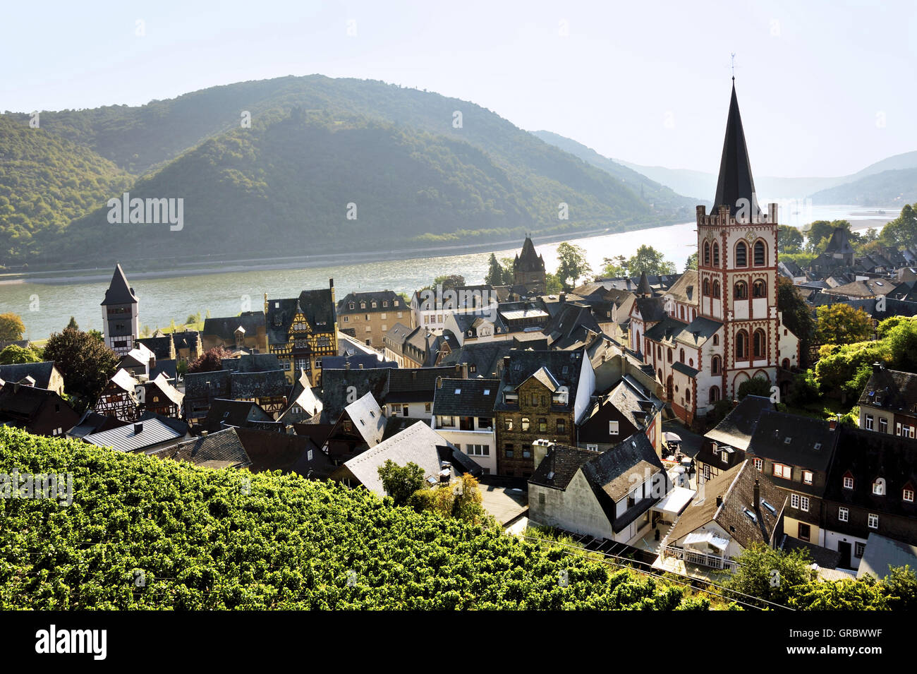 Bacharach ville dans la vallée du Rhin moyen et de la vigne, de la région de la vallée du Haut-Rhin moyen, Allemagne Banque D'Images