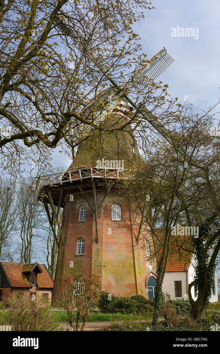 De Vrouw Johanna Banque D'Images