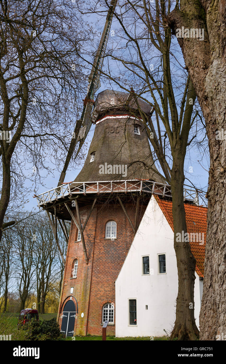 De Vrouw Johanna Banque D'Images