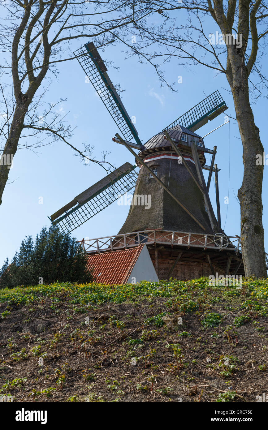 De Vrouw Johanna Banque D'Images
