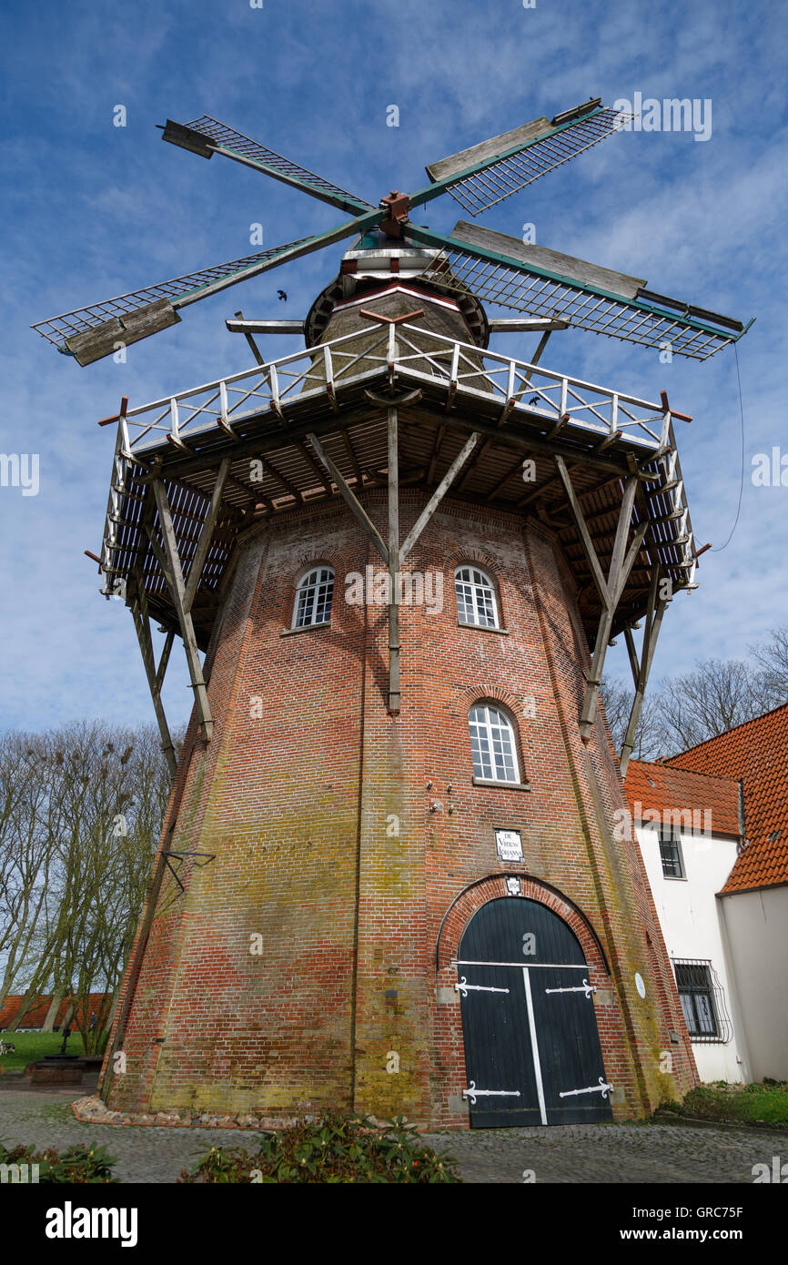 De Vrouw Johanna Banque D'Images