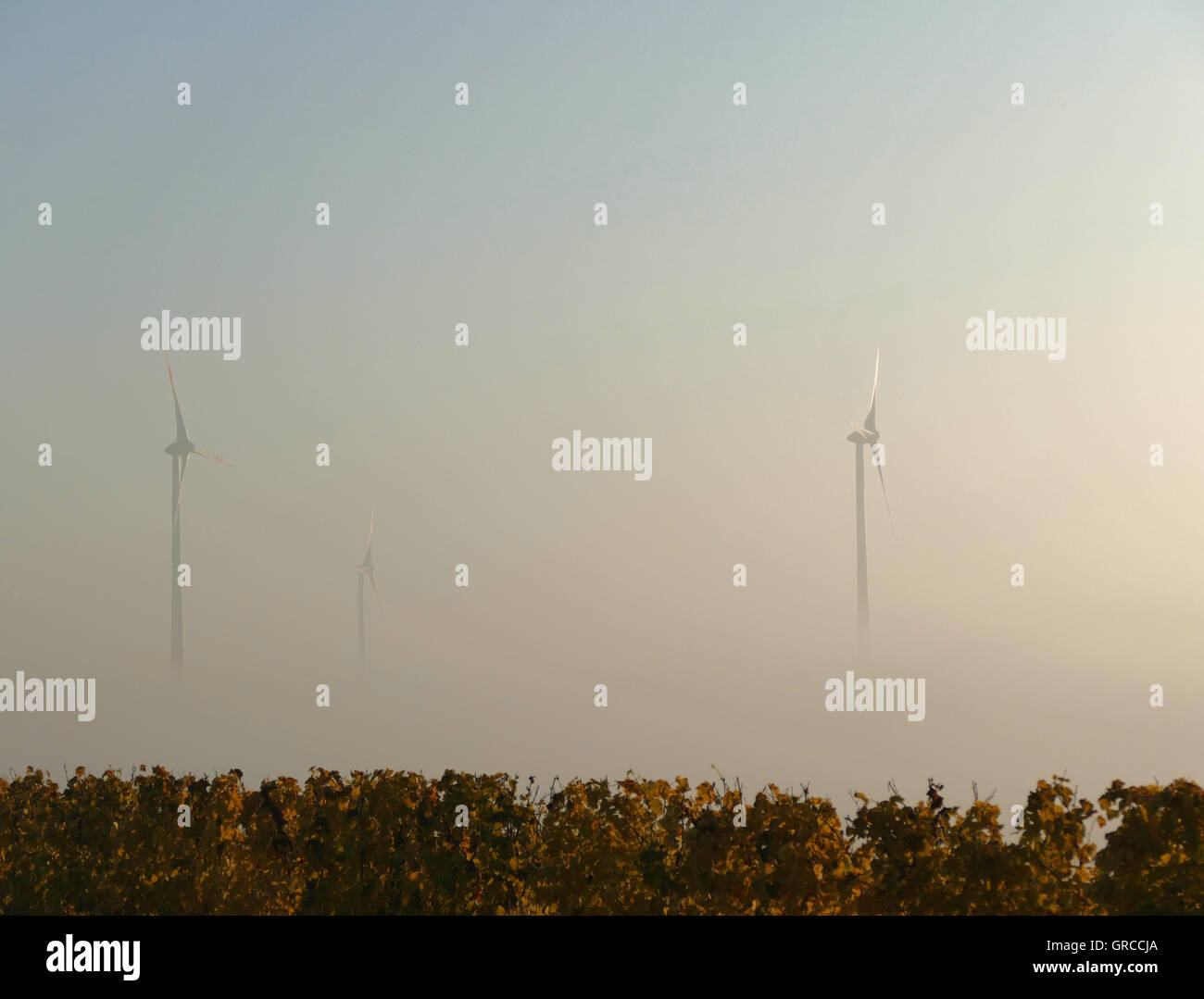 Région Rheinhessen de bon vin et de l'énergie éolienne Banque D'Images