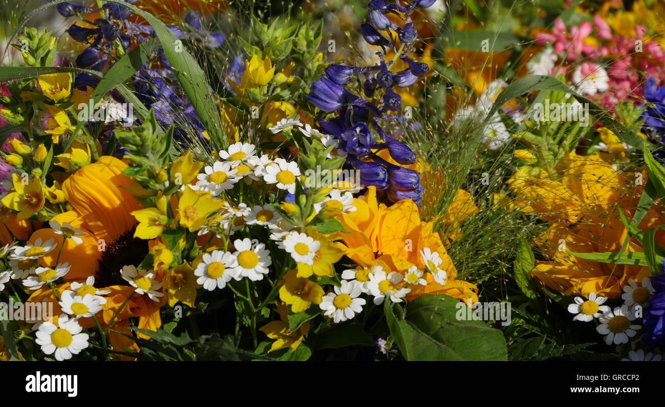 Bouquets colorés au marché hebdomadaire Banque D'Images