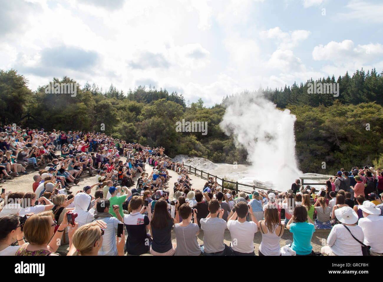 Rotorua, Nouvelle-Zélande - 25 Février 2015 : les touristes regardant l'éruption du geyser Lady Knox à Wai-o-Tapu National Park Banque D'Images