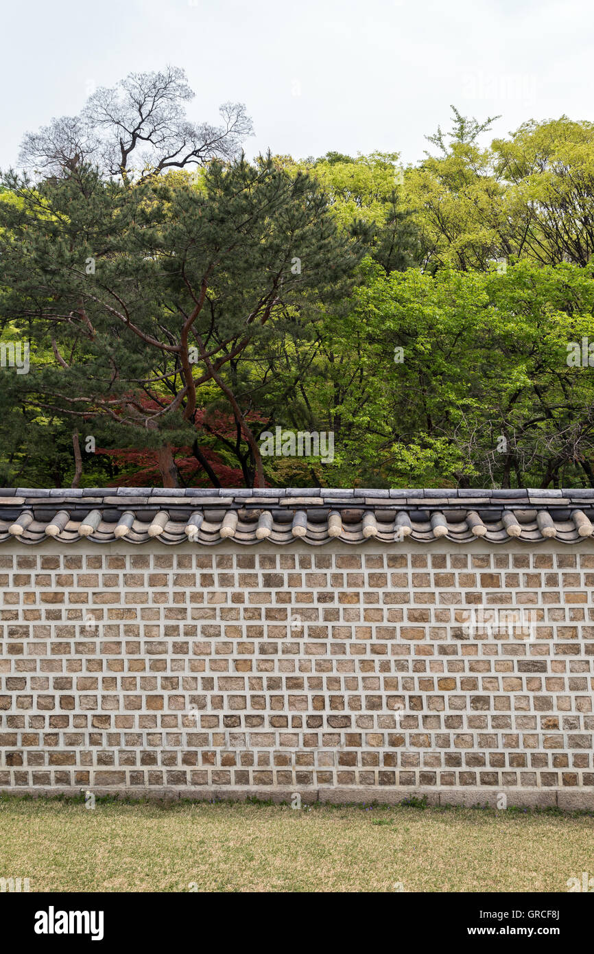 Mur et les arbres derrière au Sanctuaire de Jongmyo, à Séoul, Corée du Sud, du point de vue de l'avant. Banque D'Images Mur et les arbres derrière au Sanctuaire de Jongmyo, à Séoul, Corée du Sud, du point de vue de l'avant. Banque D'Images