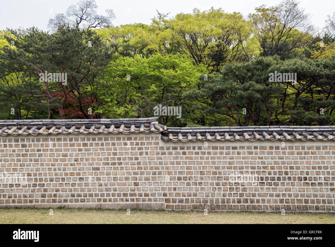 Mur et les arbres derrière au Sanctuaire de Jongmyo, à Séoul, Corée du Sud, du point de vue de l'avant. Banque D'Images Mur et les arbres derrière au Sanctuaire de Jongmyo, à Séoul, Corée du Sud, du point de vue de l'avant. Banque D'Images
