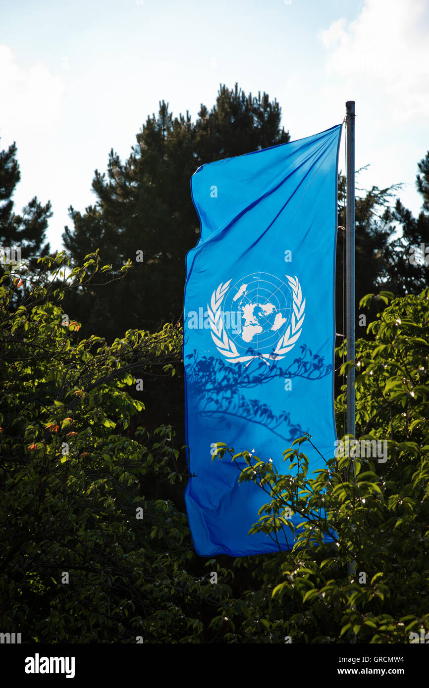 Drapeau de l'Organisation des Nations Unies, ONU Banque D'Images