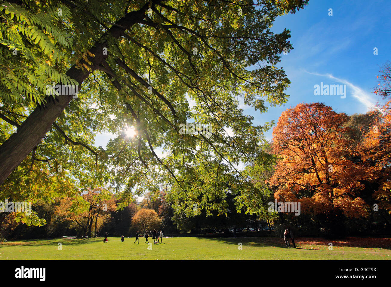 Feuillage d'automne au parc Englischer Garten à Munich Banque D'Images