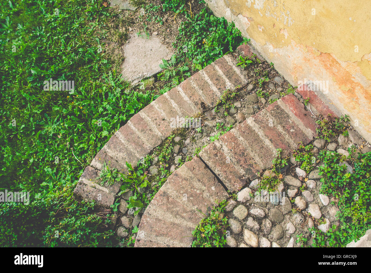 Des marches en pierre dans un jardin Banque D'Images