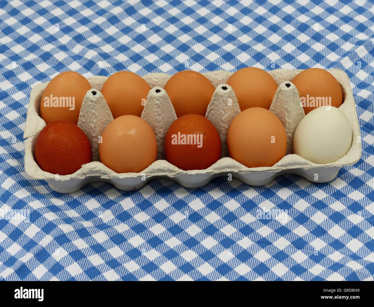 Des Œufs Frais de différentes races de poulet, de poulets Free-Range Banque D'Images