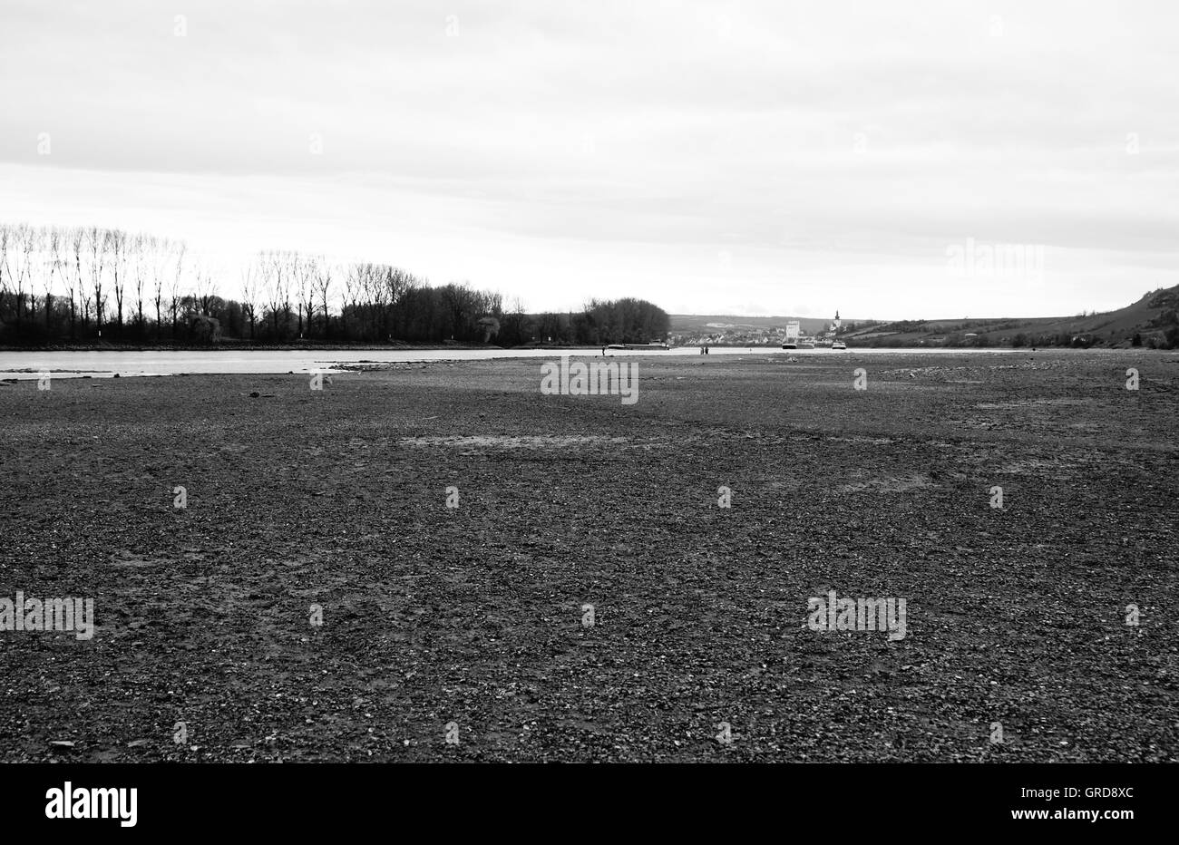 L'eau basse dans le Rhin moyen, ici vue depuis le lit de la rivière à Nierstein près de Mayence en décembre 2011 Banque D'Images