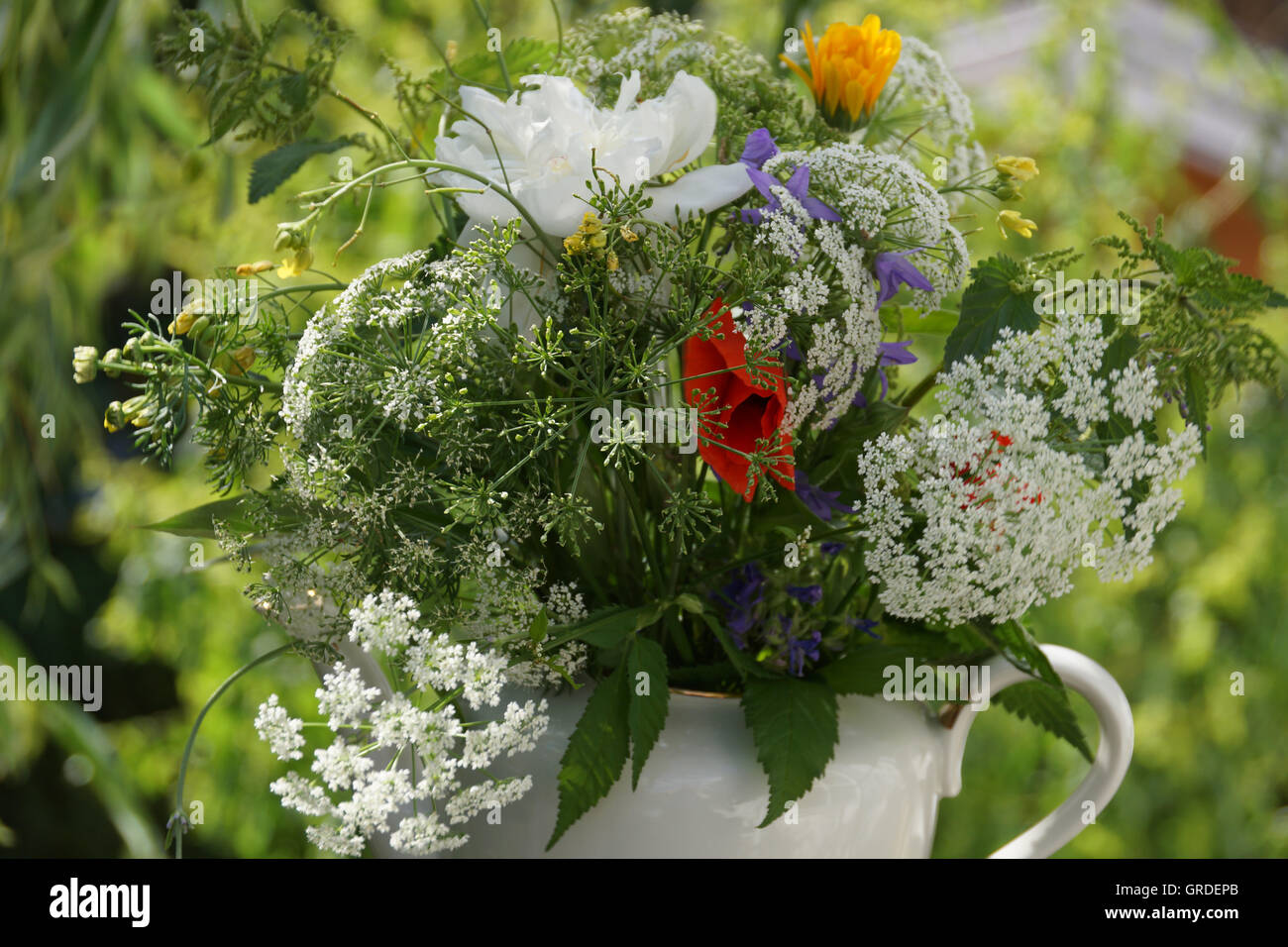 Bouquet de fleurs dans un pré, dans un pot de thé Banque D'Images