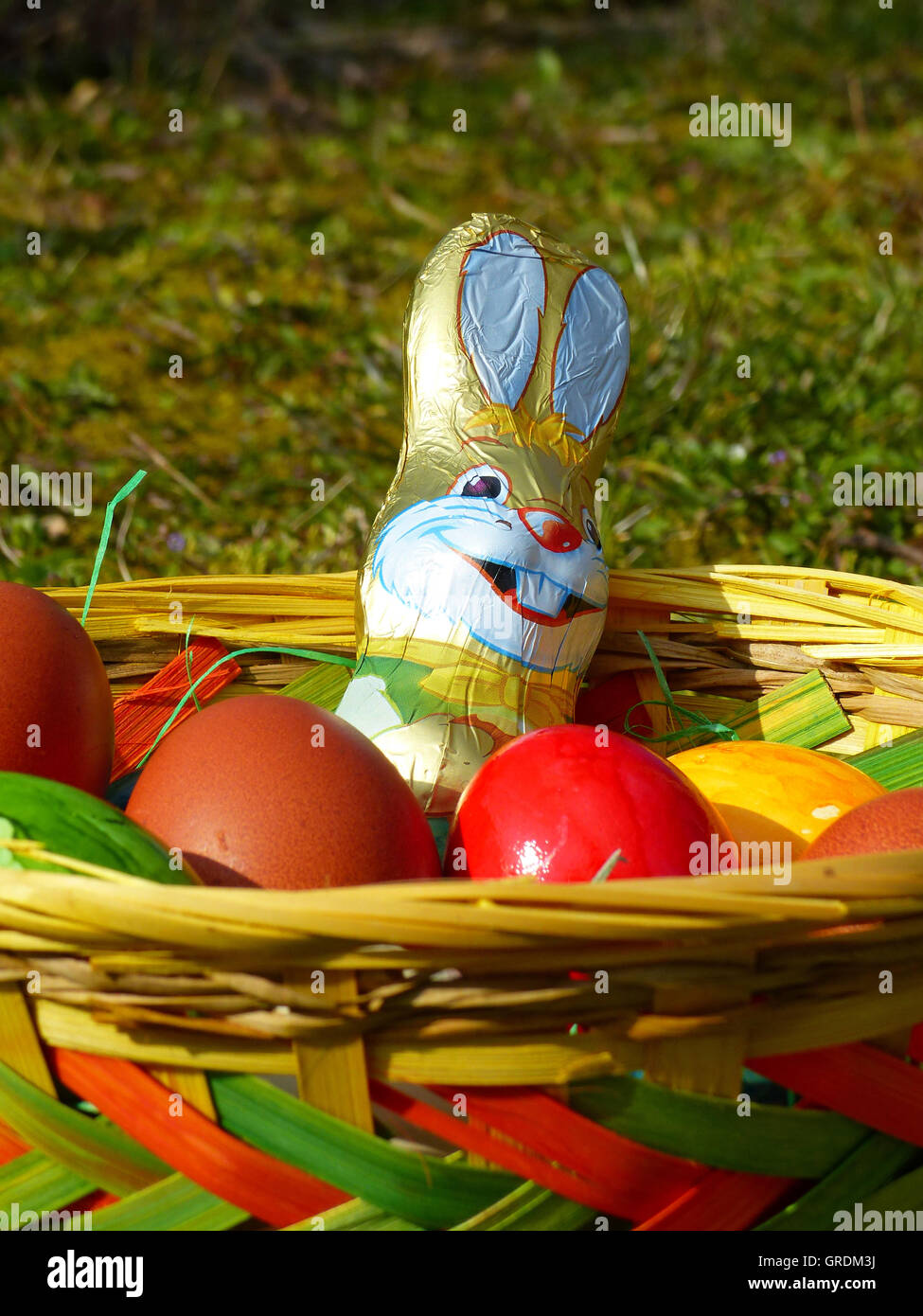 Nid de Pâques avec des Œufs de Pâques colorés et un lapin de Pâques en chocolat sur un pré vert Banque D'Images