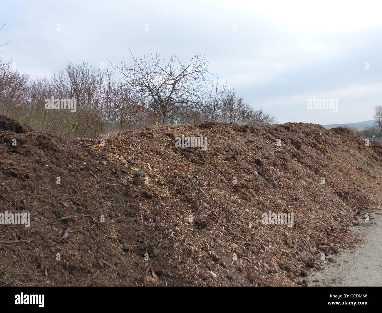 Le compost de fumée, à cause de la chaleur générée par le compostage Banque D'Images