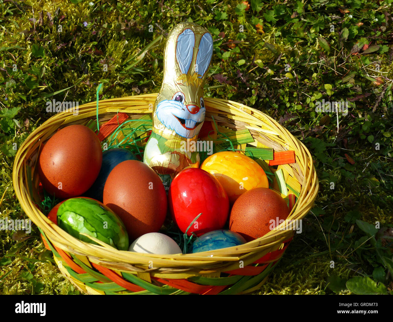 Nid de Pâques avec des Œufs de Pâques colorés et un lapin de Pâques en chocolat sur un pré vert Banque D'Images