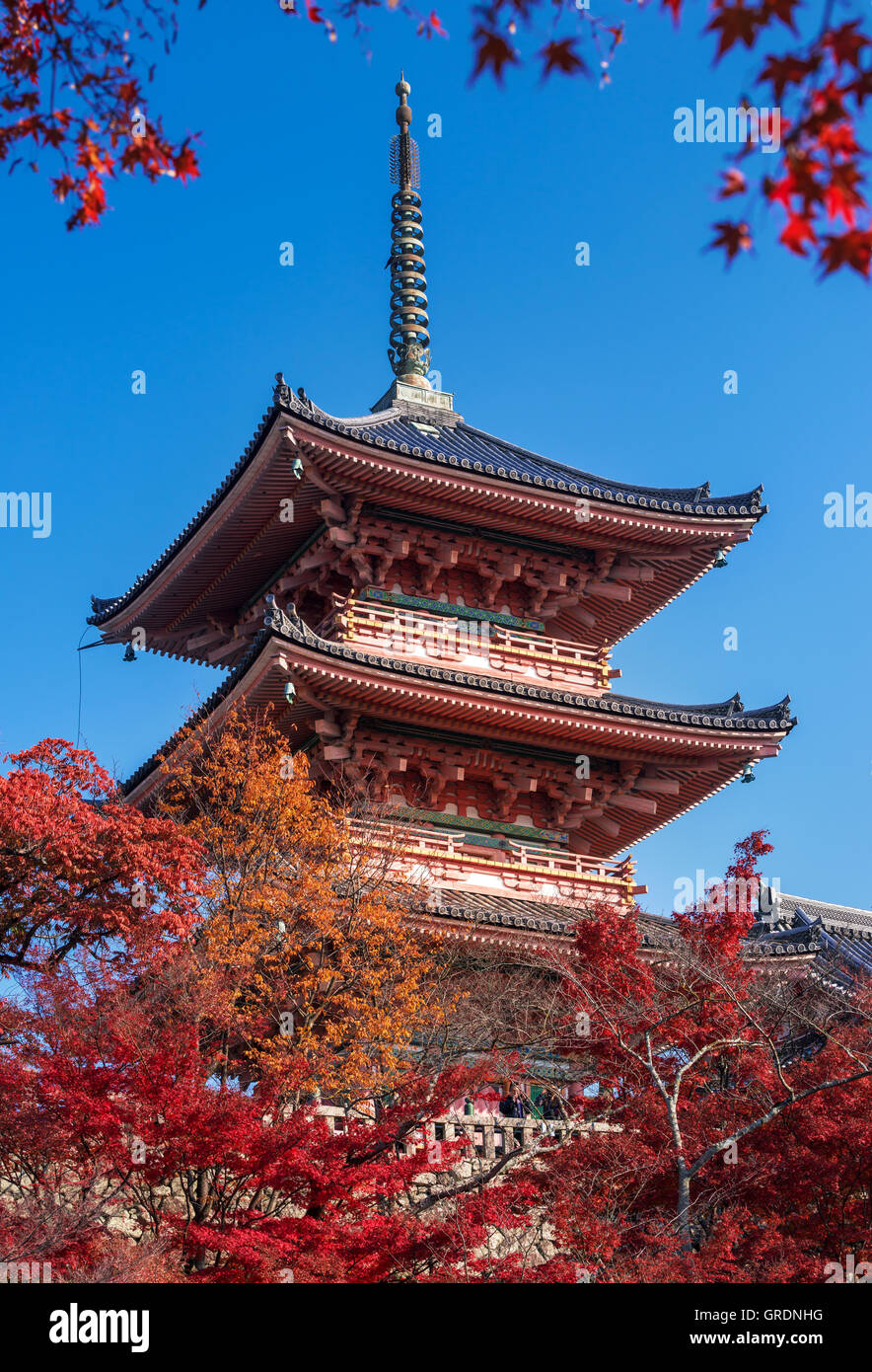 Le Temple Kiyomizu-dera à l'automne, le Japon Banque D'Images