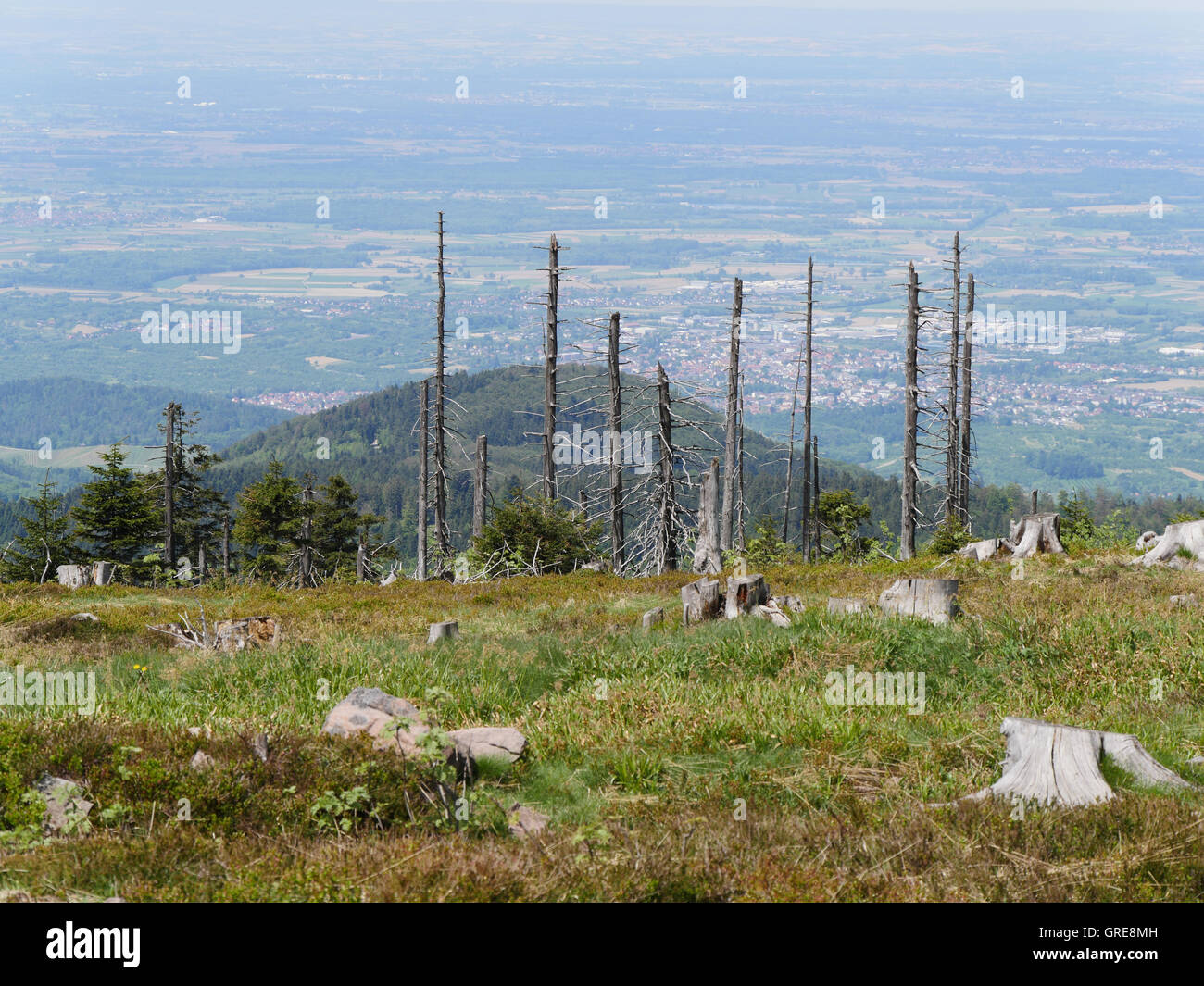 À partir de la Hornisgrinde Vue dans la Forêt Noire dans la Vallée Banque D'Images