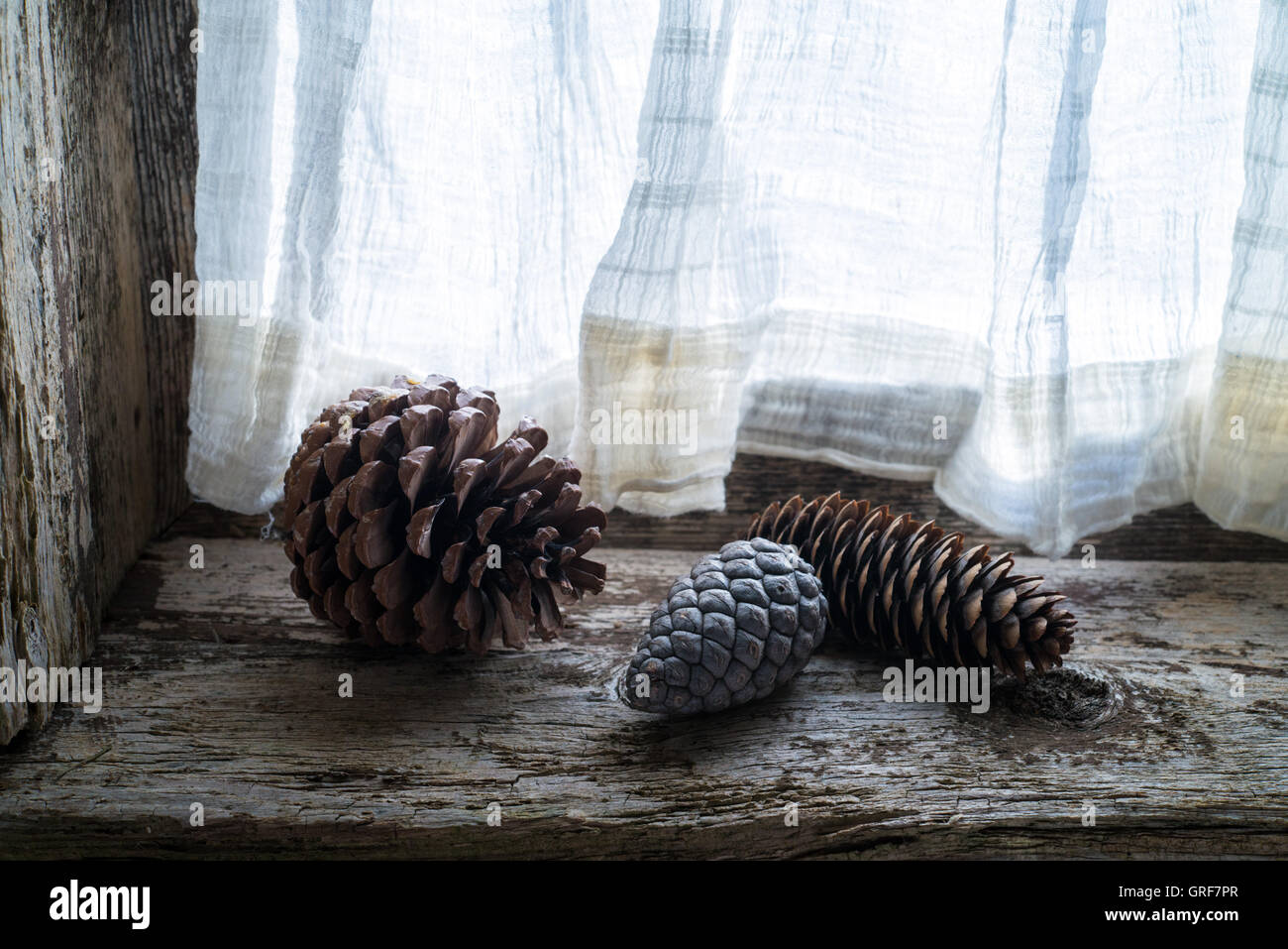 Trois cocottes sur le rebord de la fenêtre d'une vieille Banque D'Images