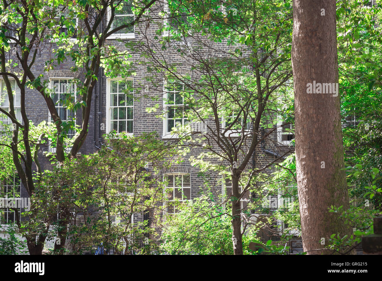 Londres place géorgienne, Malet Street Gardens, un petit square arboré, se trouve derrière la partie géorgienne terrasses de Gower Street, UK Banque D'Images