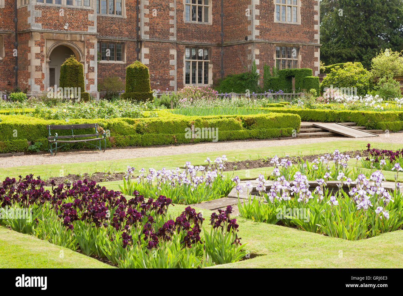 Doddington Hall and Gardens, Lincolnshire, Royaume-Uni. Dans l'Ouest, les iris Iris jardin pendant la semaine. Printemps, mai 2016. Banque D'Images