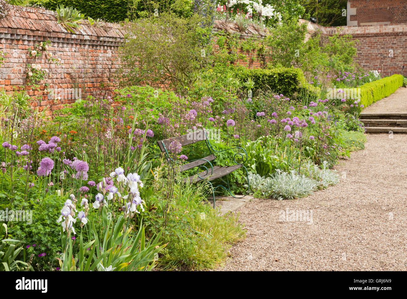 Doddington Hall and Gardens, Lincolnshire, Royaume-Uni. Dans l'Ouest, les iris Iris jardin pendant la semaine. Printemps, mai 2016. Banque D'Images