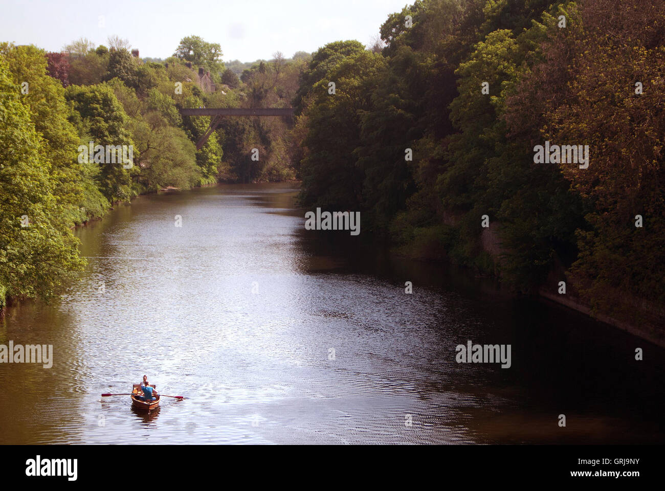 De l'aviron sur la rivière Wear, Durham Banque D'Images