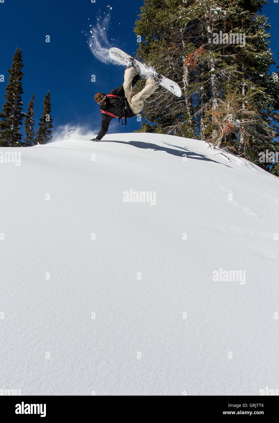 La planche sur une journée ensoleillée Banque D'Images