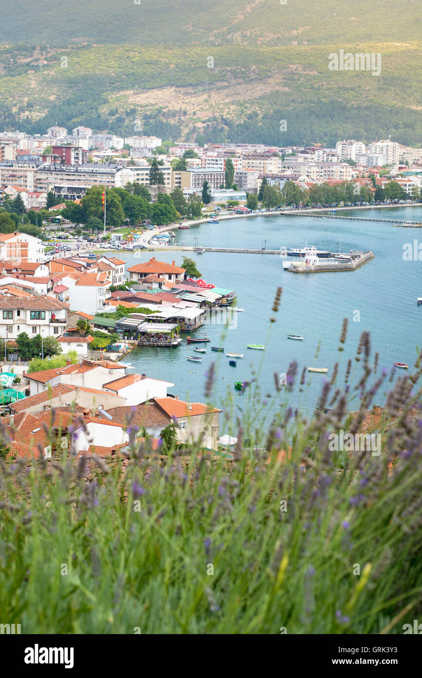 La ville d'Ohrid en Macédoine Vue urbaine avec des fleurs de lavande à l'avant Banque D'Images