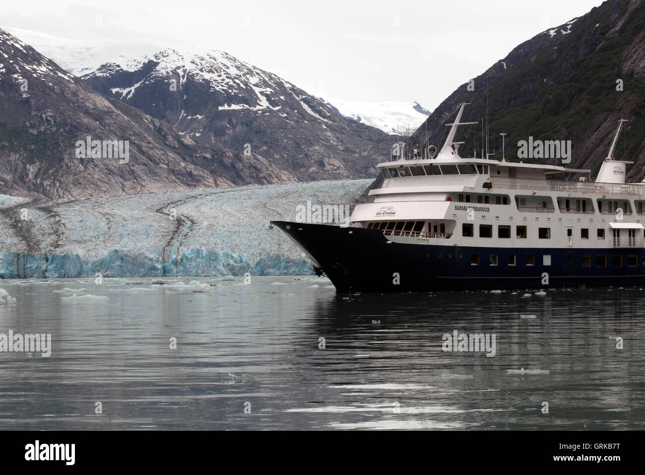 Safari croisière Endeavour à gués la terreur, Endicott Arm, la Forêt Nationale Tongass, Alaska, USA. Le 49e État, le plus grand dans le Banque D'Images