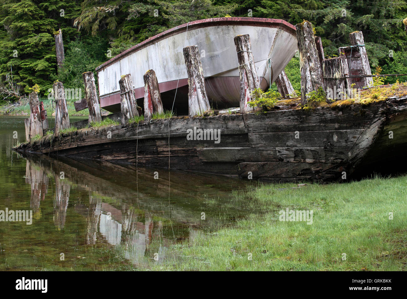 Vieux bateau dans une forêt pluviale tempérée sur les îles Brothers entre passage Stephens et Frederick Sound. Archipel Alexander, Banque D'Images