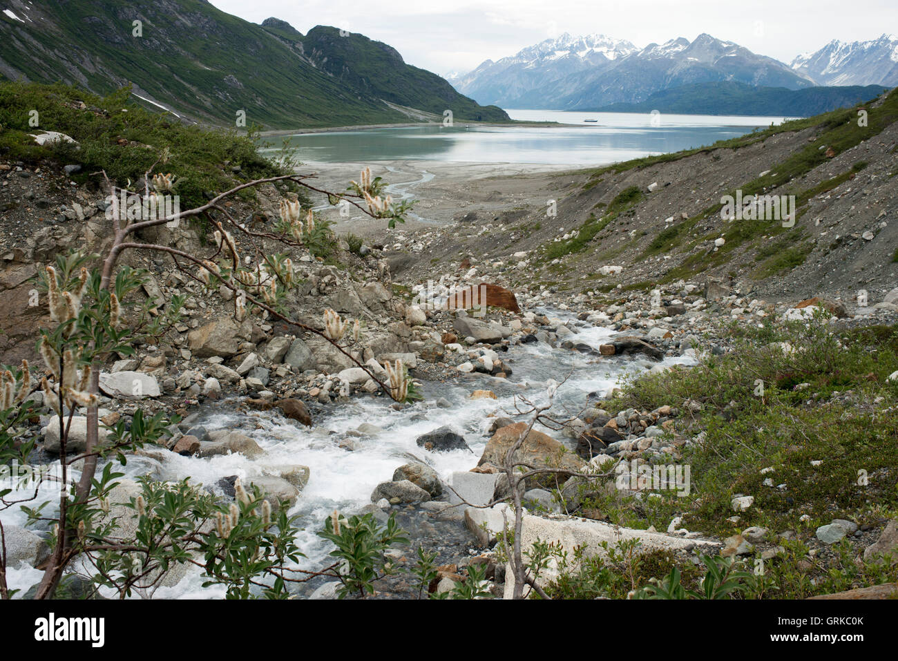 Reid Glacier - Glacier Bay National Park, Alaska. Les modèles de glace et de neige sur le Glacier Reid à Glacier Bay National Park, Alaska. Glacier Reid est un 11-mile-long (18 km) glacier dans l'état américain de l'Alaska. Les tendances à l'entrée d'Reid à Glacier Bay National Park et préserver, à 2 miles (3 km) au sud de Glacier Bay et 72 miles (116 km) au nord-ouest de Hoonah. Il a été nommé par les membres de l'expédition Harriman en Alaska pour Harry Fielding Reid. Banque D'Images