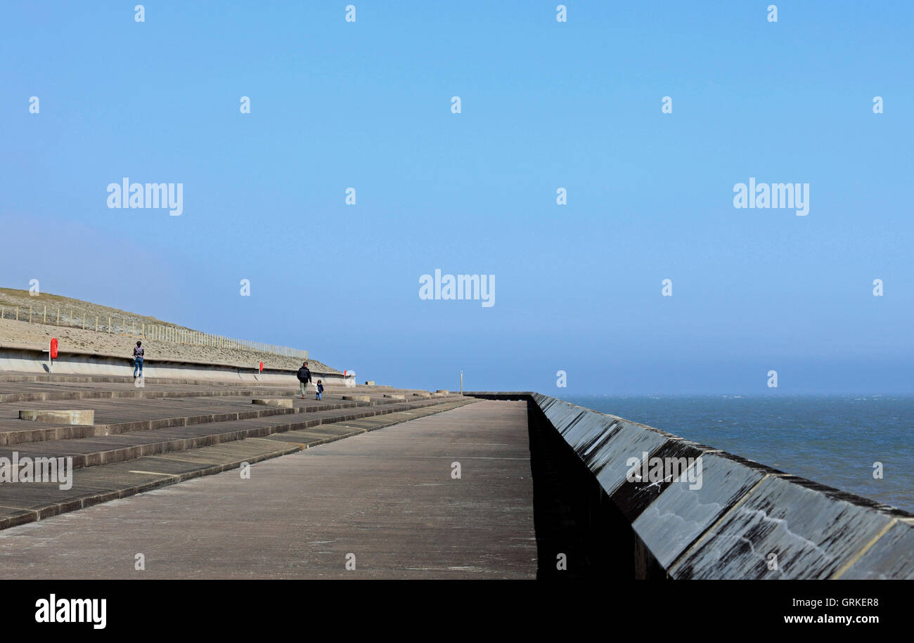 Samphire Hoe, Sea Wall, Dover, Kent, UK Banque D'Images