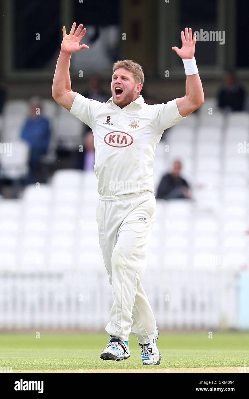 Stuart Meaker de Surrey avec un grand appel pour le guichet d'Alastair Cook - Surrey CCC vs Essex CCC - LV County Championship Division Two de cricket au Kennington Oval, Kia, Londres - 23/04/14 Banque D'Images