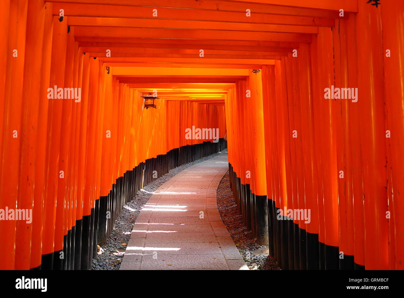 Fushimi Inari-Taisha Torii gates à Kyoto au Japon sanctuaire Banque D'Images