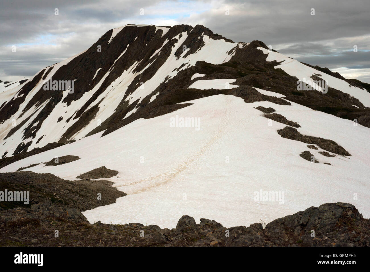 Le mont Roberts. Trekking du Mt Roberts Tramway, Juneau. De l'Alaska. La borne supérieure du tramway est situé sur une tour et offe Banque D'Images