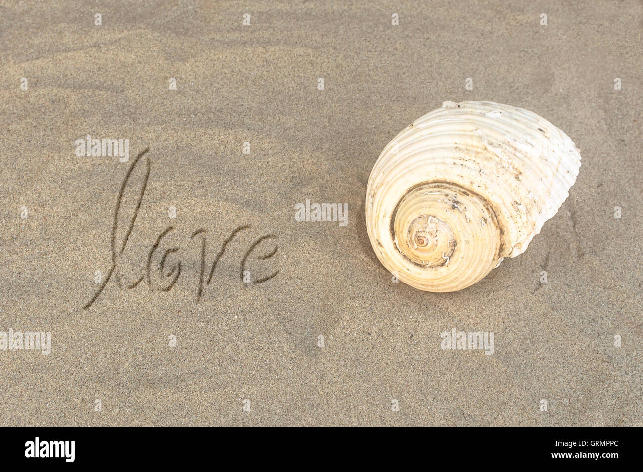 Mot Amour écrit sur du sable de plage avec sea shell. Focus sélectif. Banque D'Images