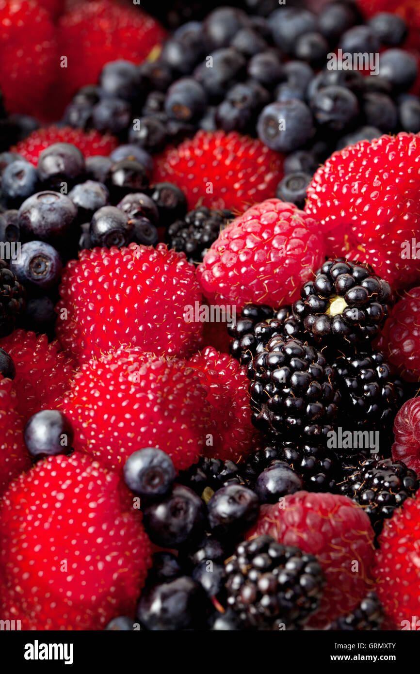 Un assortiment de fruits rouges : Framboises, mûres, bleuets - image de fond Banque D'Images