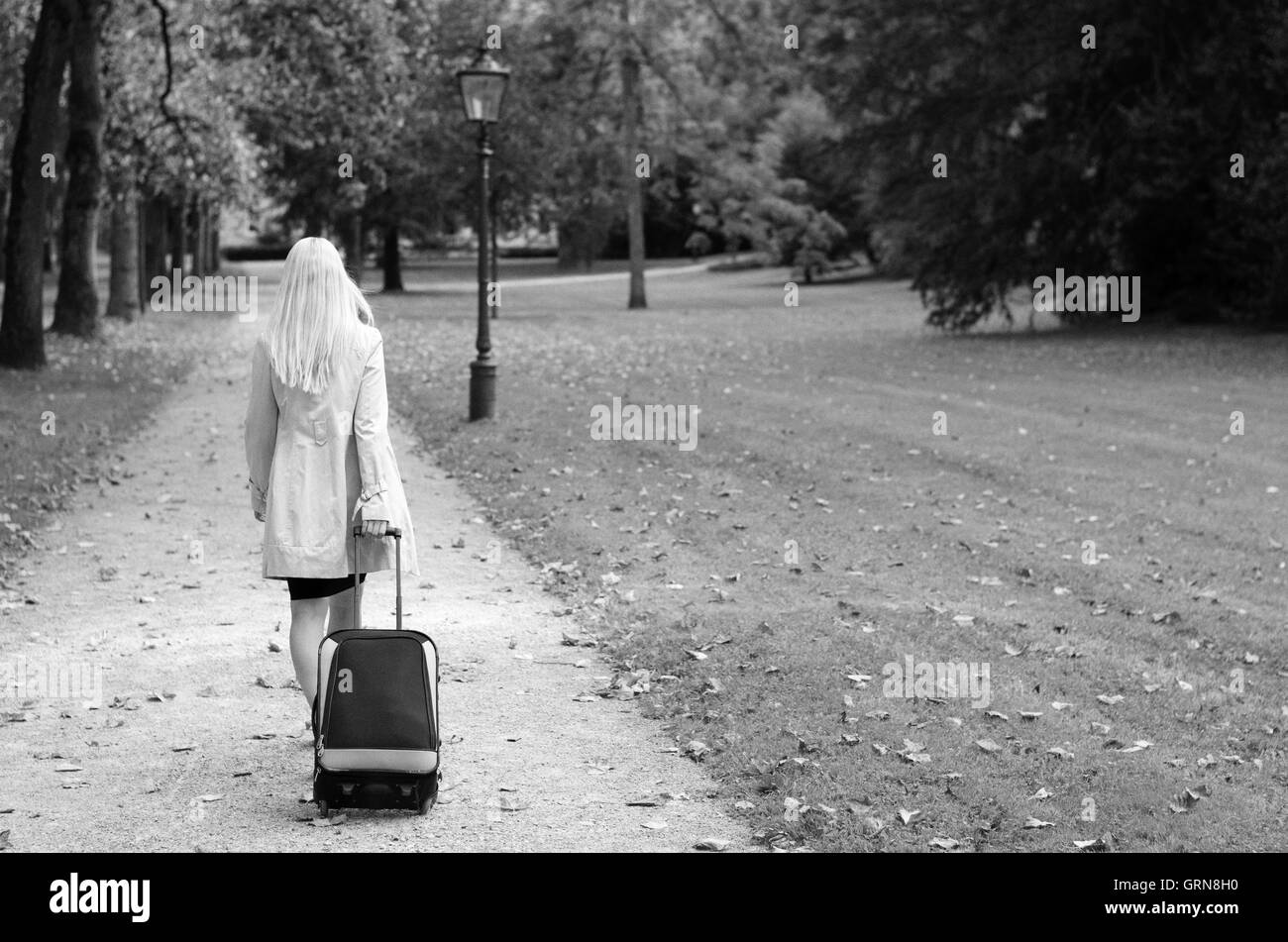 Elegant businesswoman pulling une valise derrière elle alors qu'elle s'éloigne de la caméra dans un parc boisé en noir et blanc, Banque D'Images