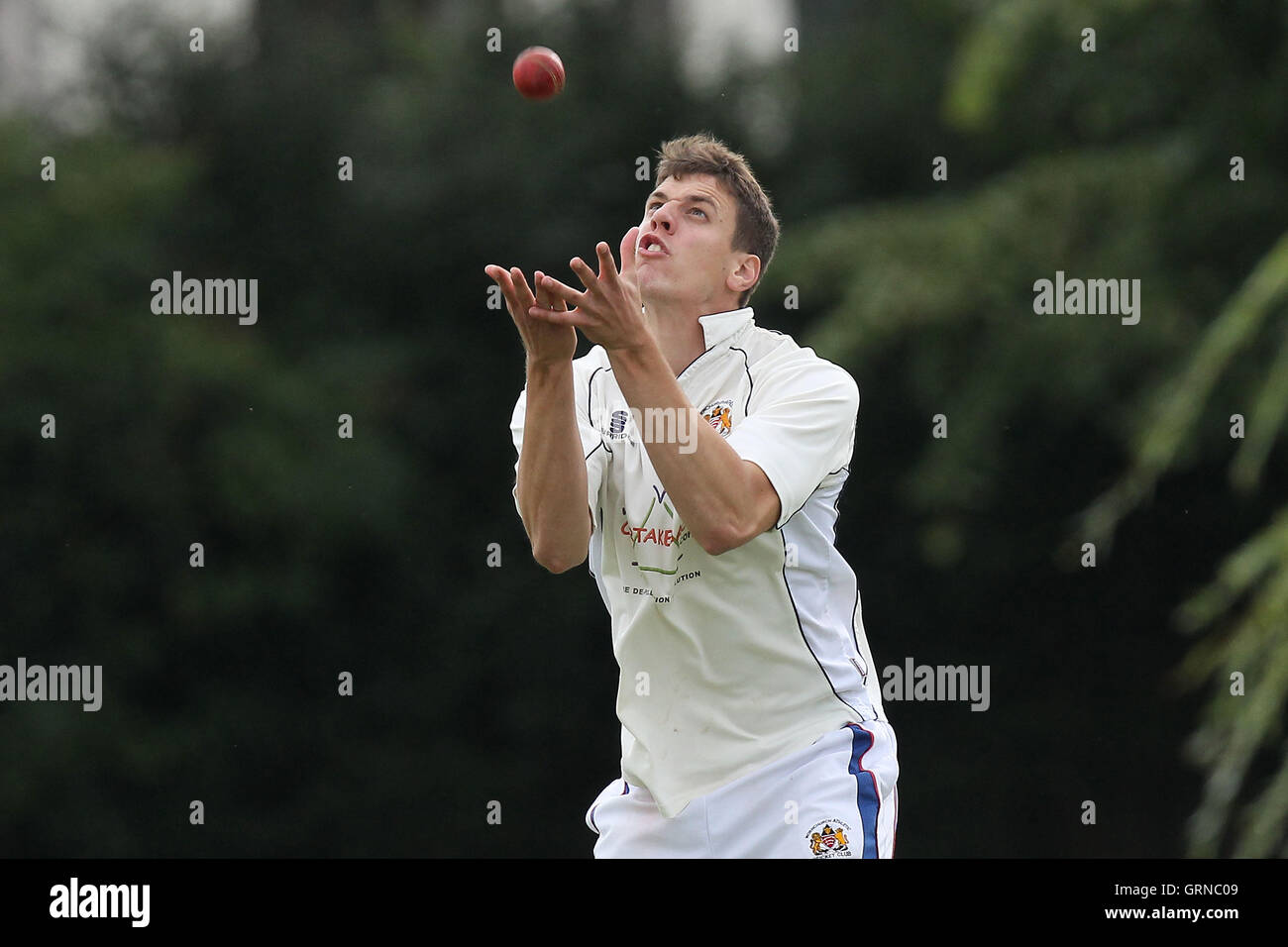 La 8ème revendication athlétique Hornchurch Brookweald - guichet athlétique Hornchurch CC vs Brookweald - CC Mid-Essex Ligue de Cricket à Hylands Park - 30/08/14 Banque D'Images