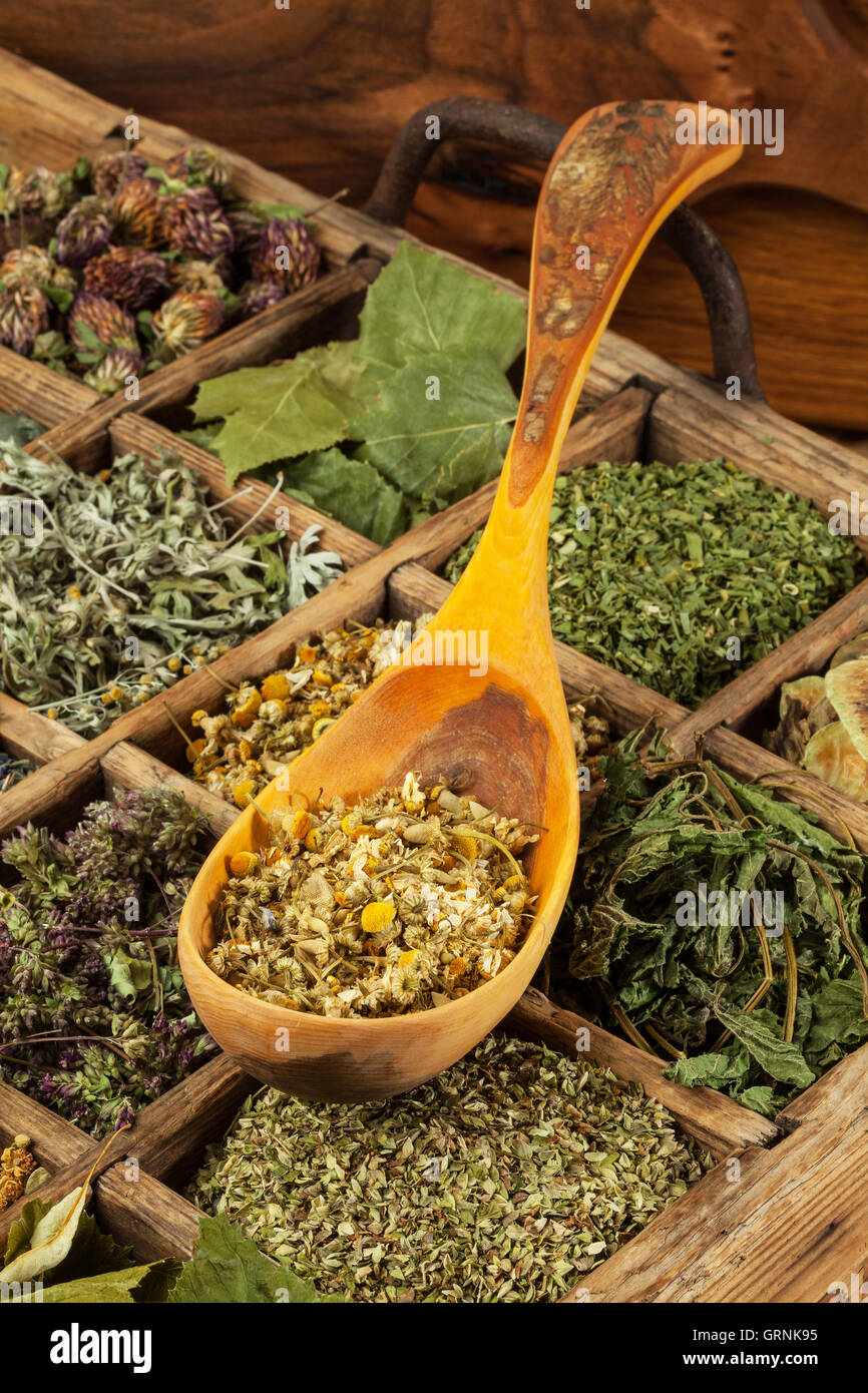 Un assortiment de thé séchées herbes médicales. Banque D'Images