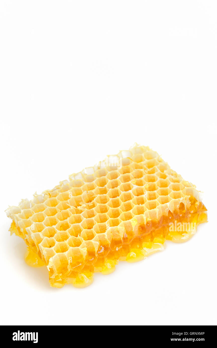 Honeycomb isolated on white Banque D'Images