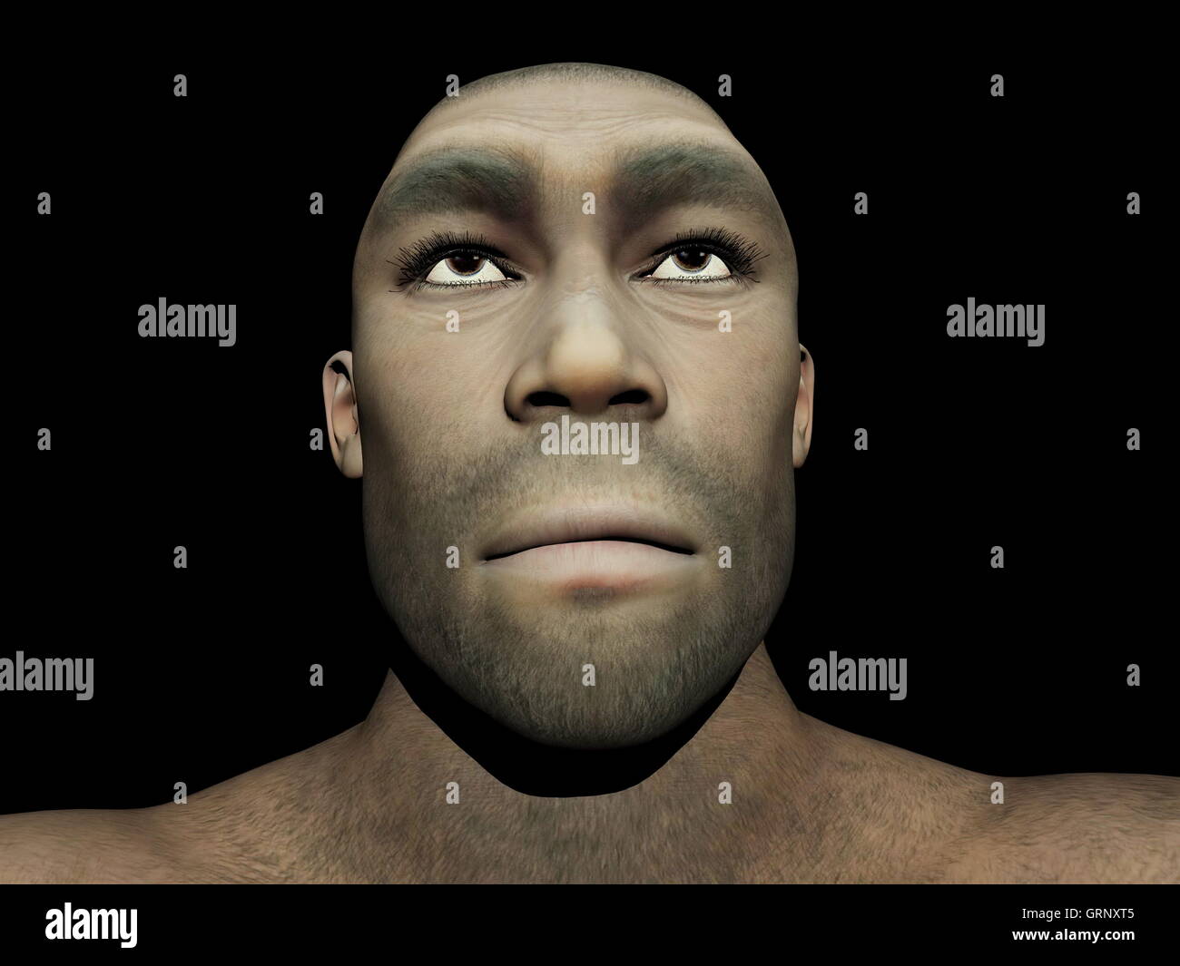 L'Homo erectus mâle - 3D render Banque D'Images