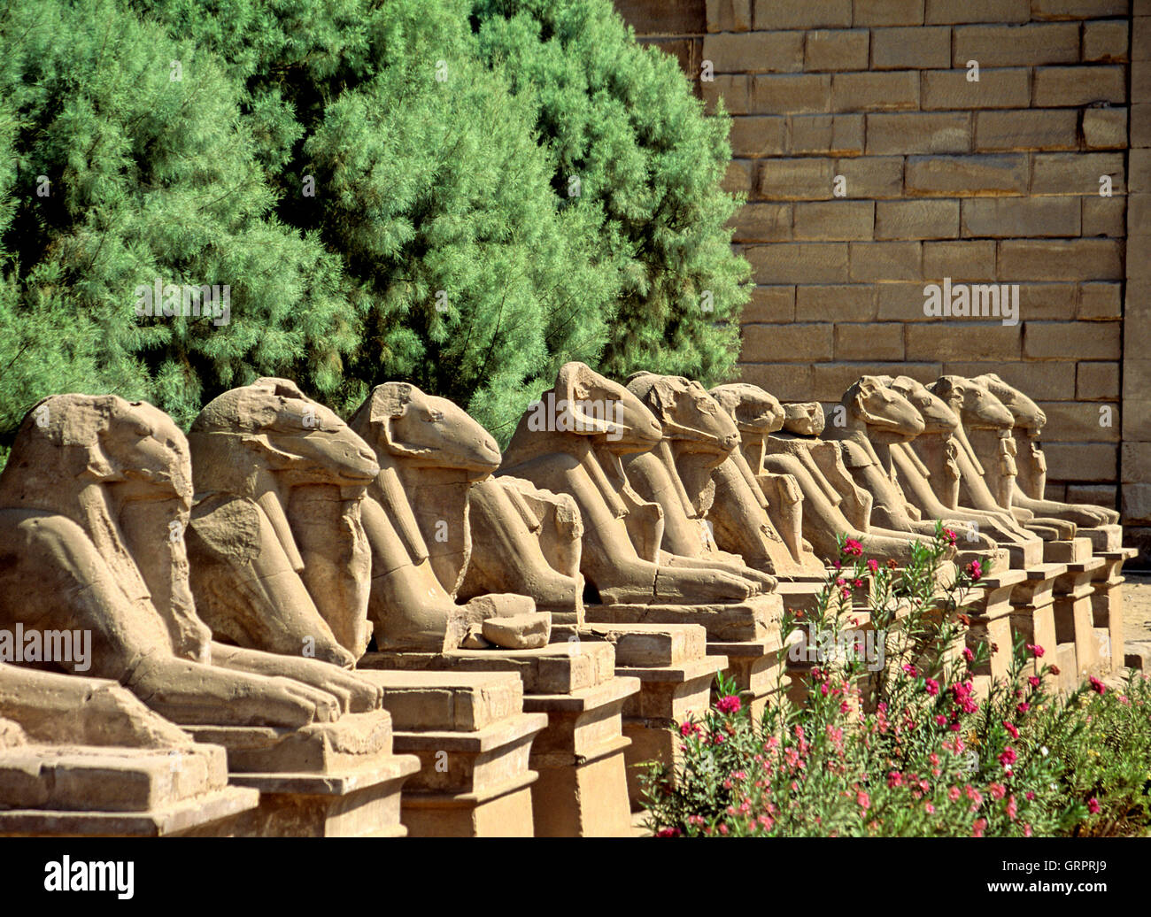 Avenue de Ram sphinx, Temple d'Amon-Ra, Karnak, Haute Egypte Banque D'Images