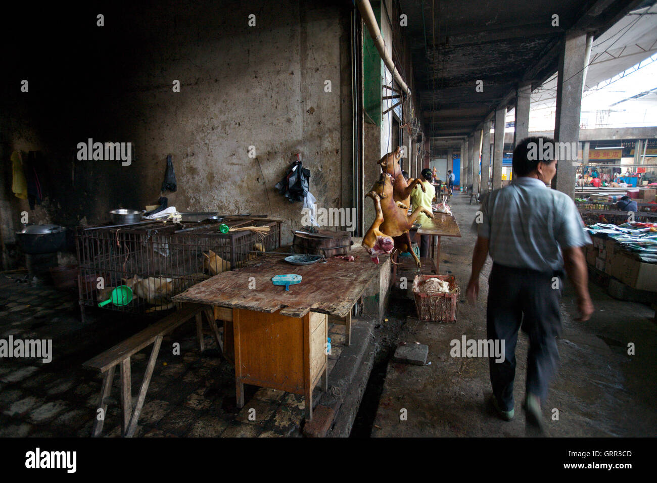 La viande de chien est suspendu à la vente dans un marché en Yangshou, Chine, tandis que les chiens attendent leur destin dans une cage derrière. Les chiens s'est noyé avant d'être bouilli. Banque D'Images