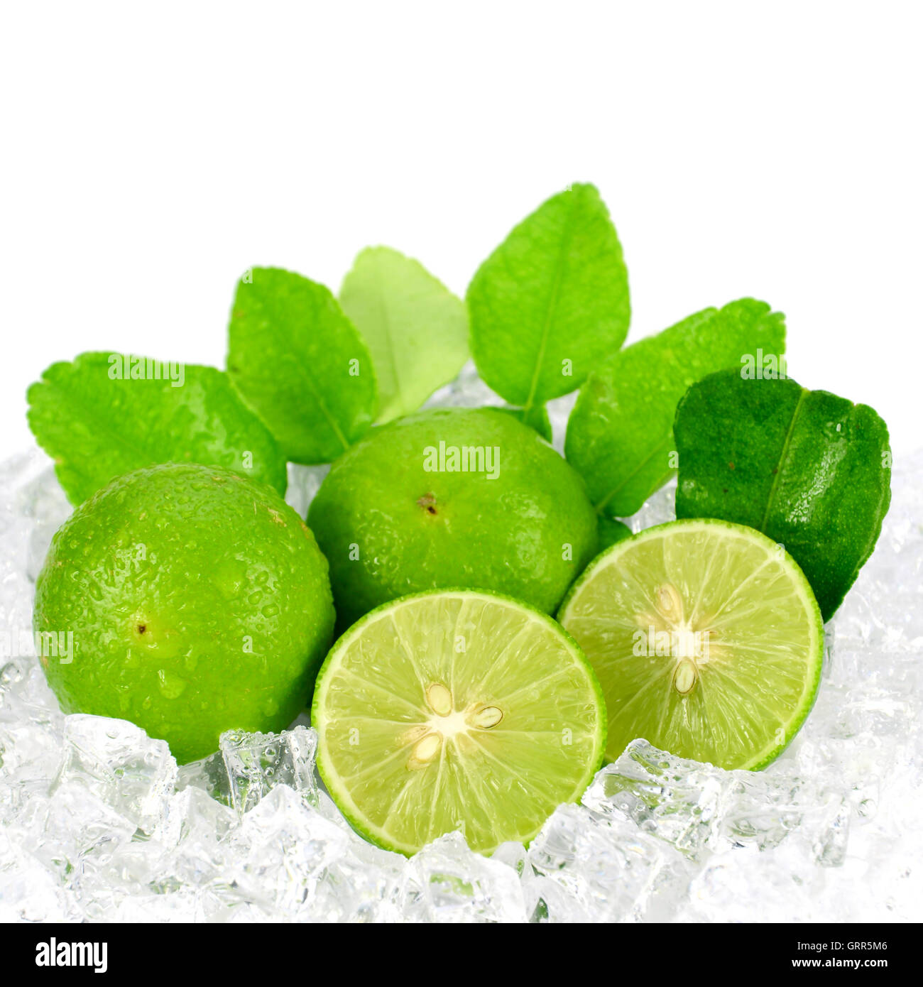 Cut lime (Citrus aurantifolia (Christm.) Swingle) et de glace sur fond blanc. Banque D'Images