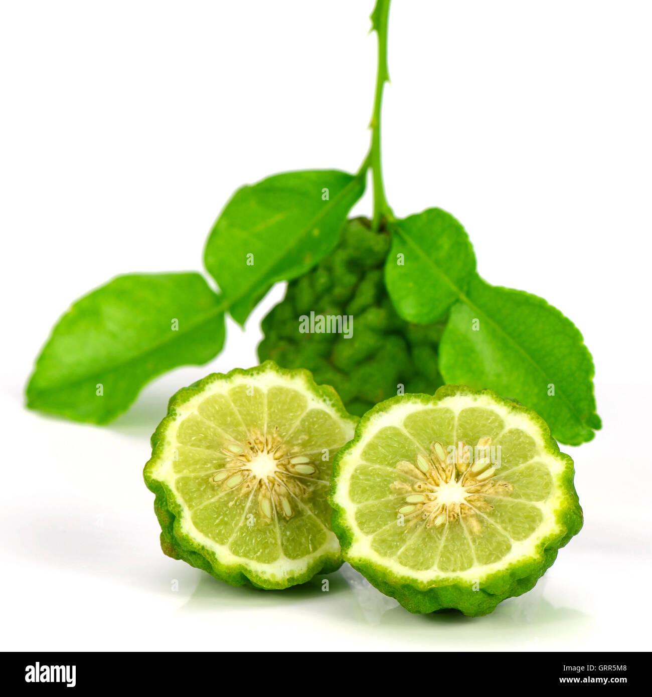 Fruits et feuilles vertes de chaux ou chaux Kiffir Leech (Citrus hystrix DC.) sur fond blanc. Banque D'Images