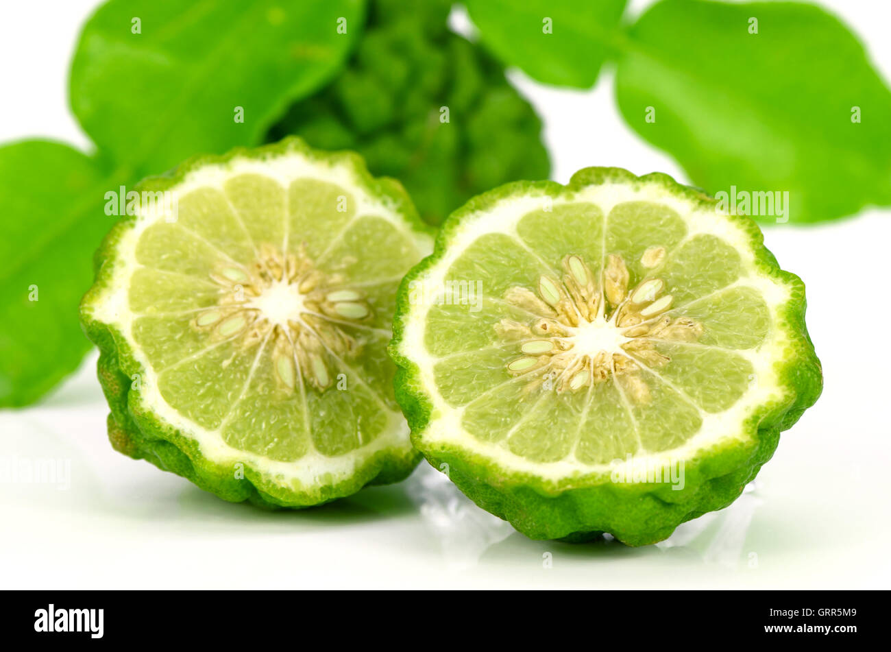 Fruits et feuilles vertes de chaux ou chaux Kiffir Leech (Citrus hystrix DC.) sur fond blanc. Banque D'Images