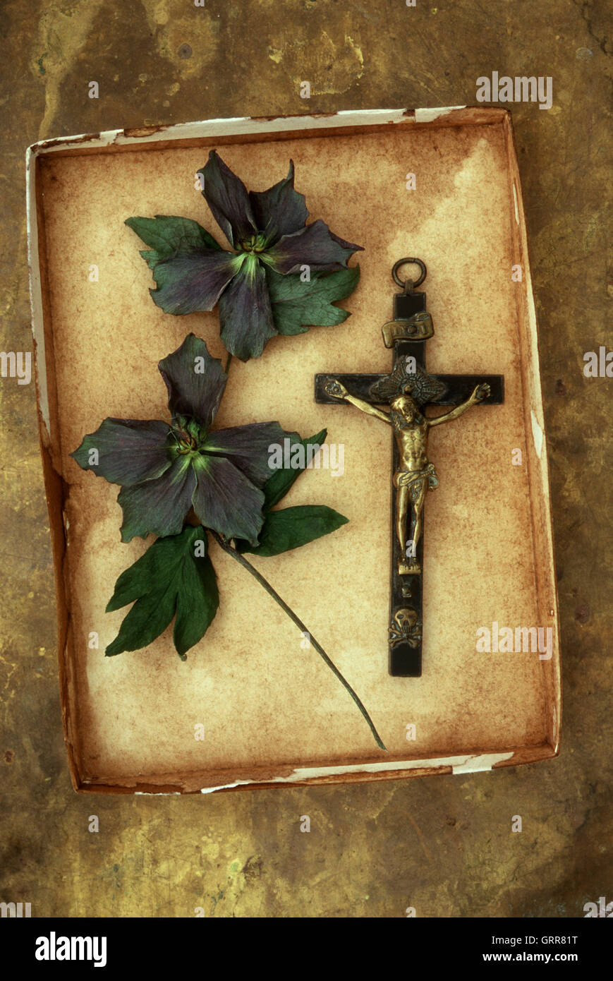Plateau en carton coloré contenant des crucifix et des fleurs violettes de Lenten rose ou Helleborus orientalis Banque D'Images