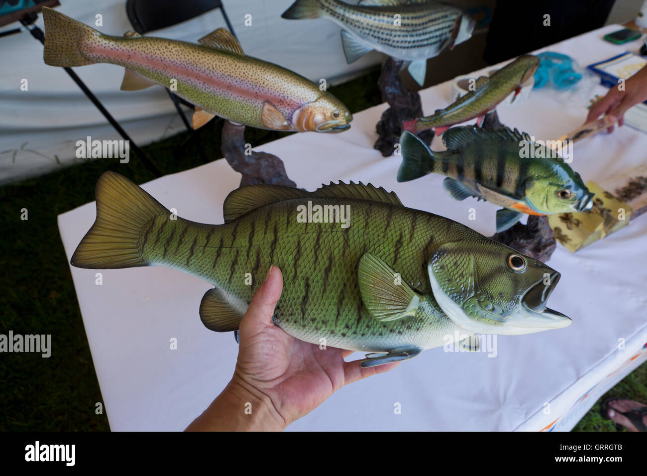 Homme tenant un modèle d'un achigan à petite bouche poisson - USA Banque D'Images