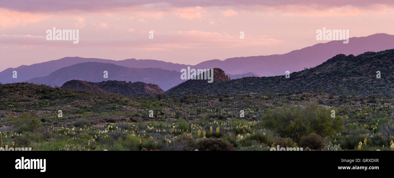 Lever du soleil illuminant le paysage au-dessus de la tortilla montagnes le long de la piste de l'Arizona au sud de l'Arizona. Banque D'Images